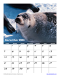 December 2003 Calendar #3