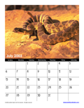 July 2003 Calendar #1