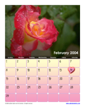 February 2004 Calendar #3