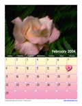 February 2004 Calendar #4
