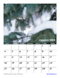 January 2004 Calendar #3